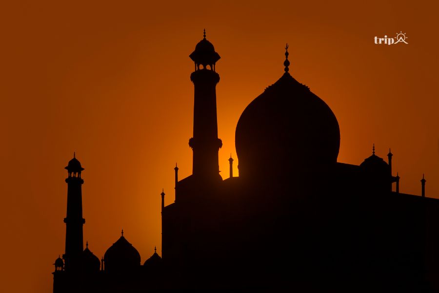 Taj mahal-tripa