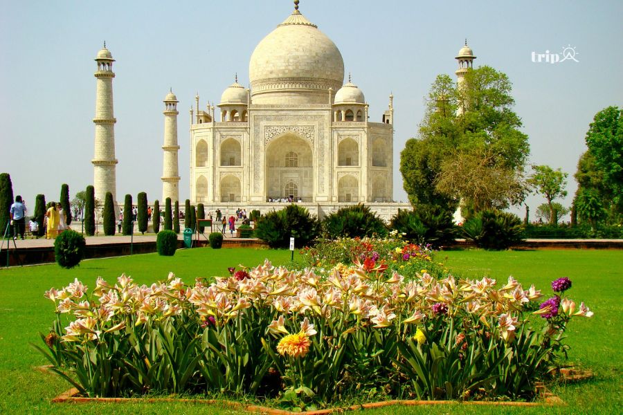 Taj Mahal-tripavn