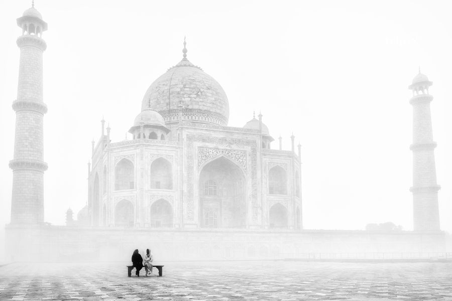 Taj mahal-tripa