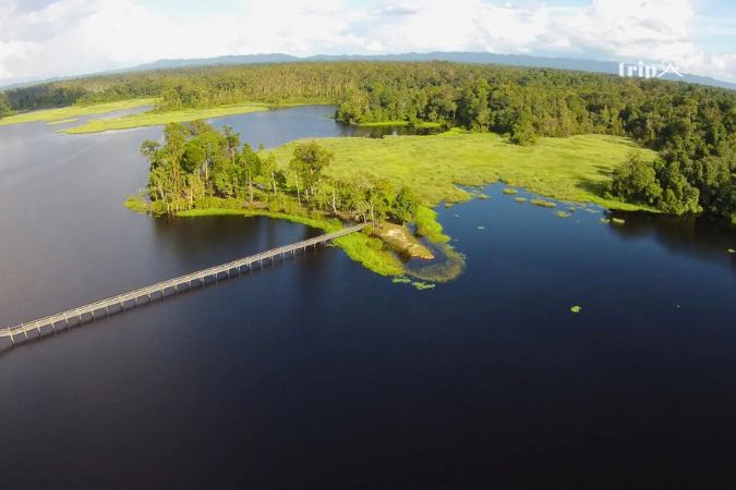 Tasek Merimbun