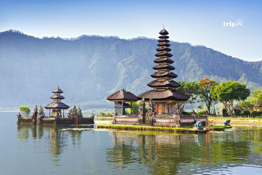 Đền nghề nghiệp Bali- Tripa