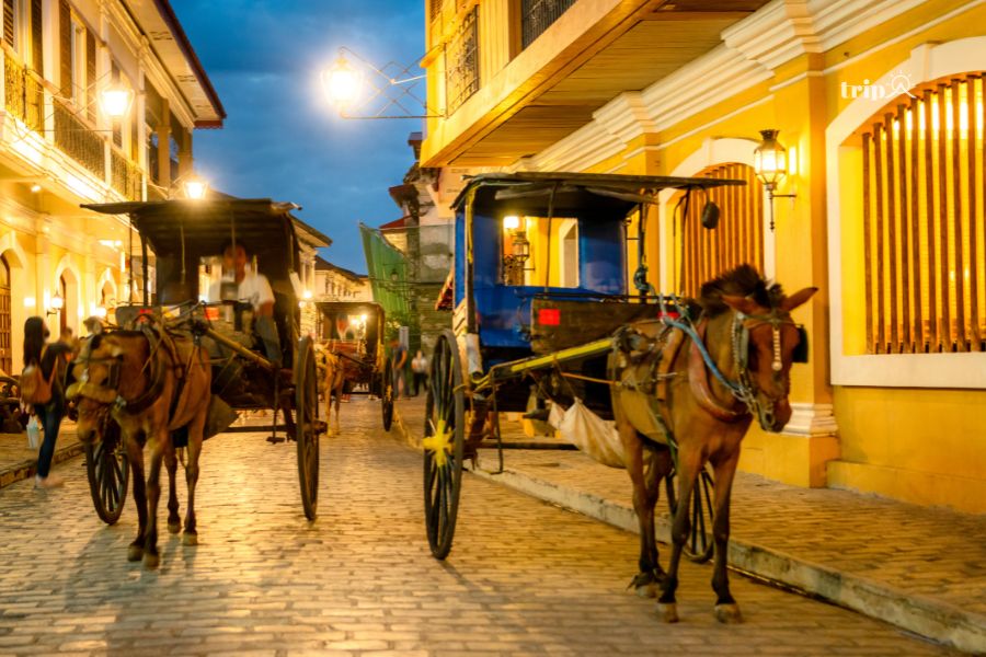 Vigan- tripavn