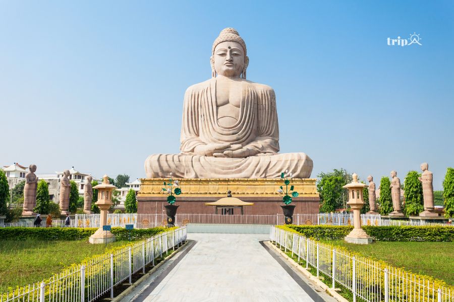  Bodh Gaya-tripa