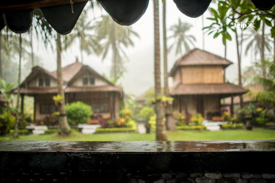 Bali mùa mưa - Tripa