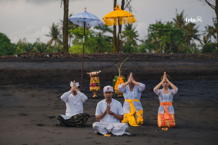 Bali thần bí- Tripa