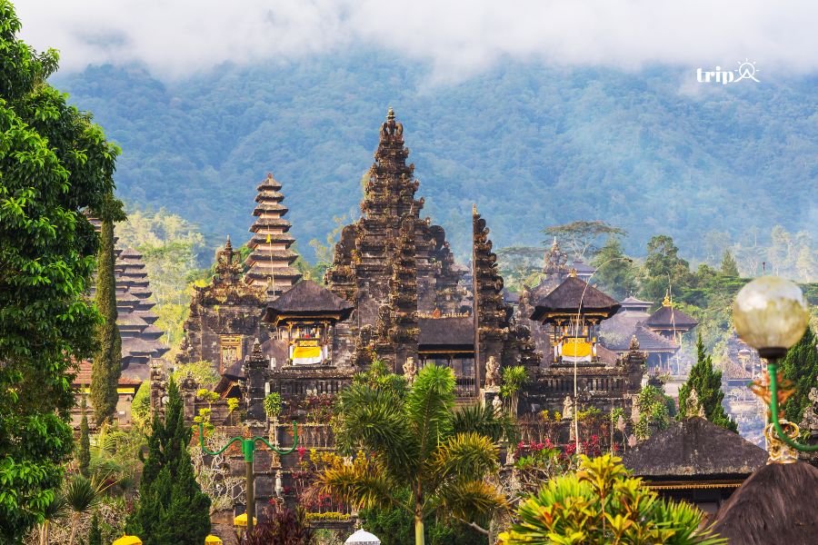 Bali thần bí- Tripa