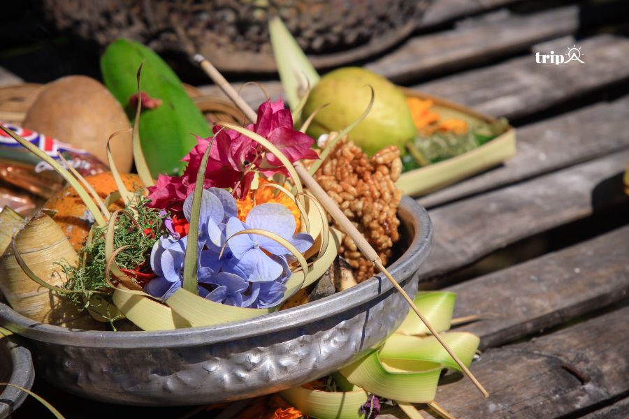 Bali thờ cúng thần lin - Tripa