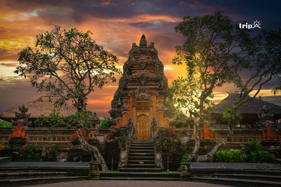 Bali - Tripa