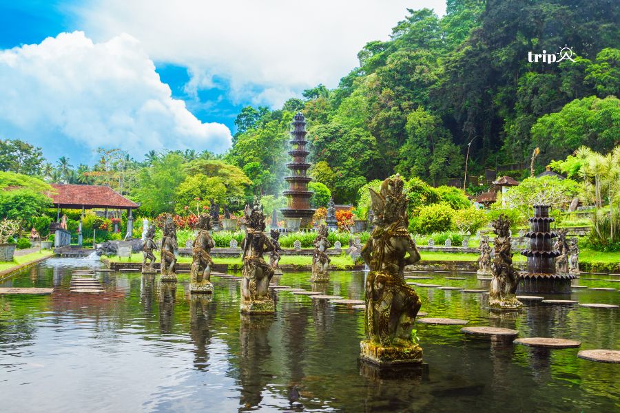 Bali - Tripa
