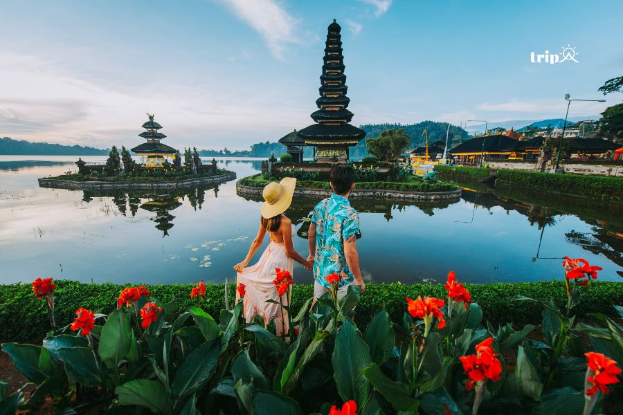 Honeymoon Bali - Tripa