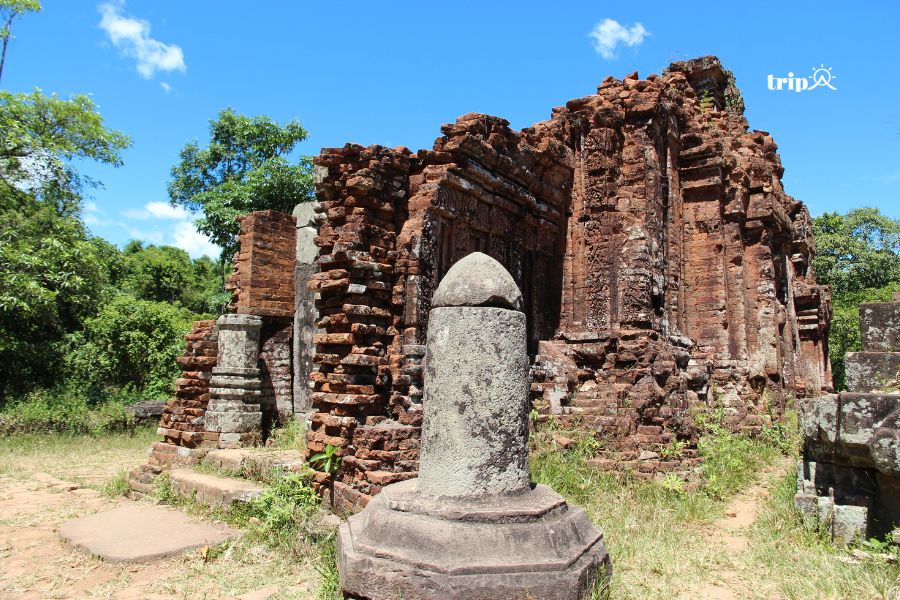linga-tripa