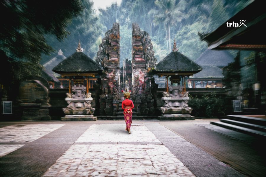 Suối thánh Bali - Tripa
