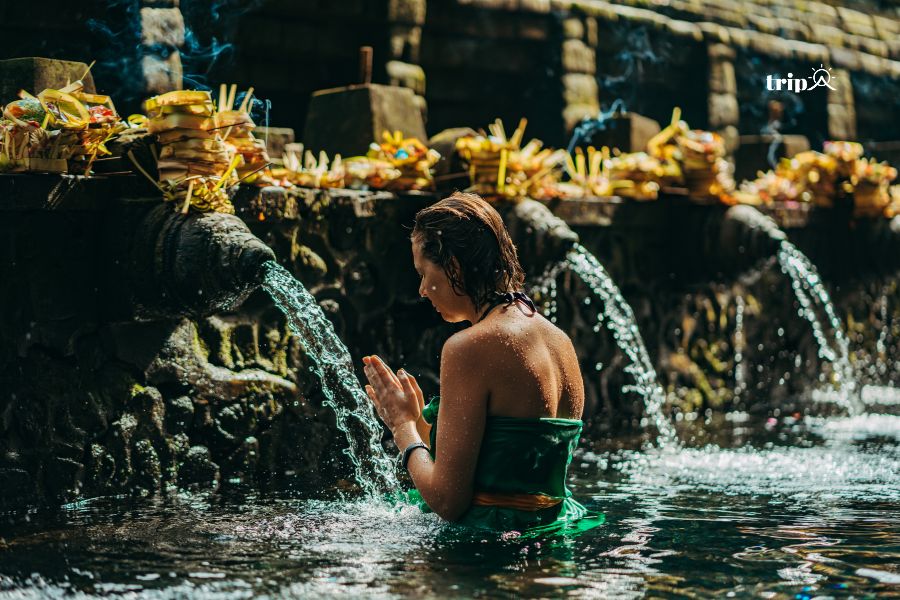 Suối thánh Bali - Tripa