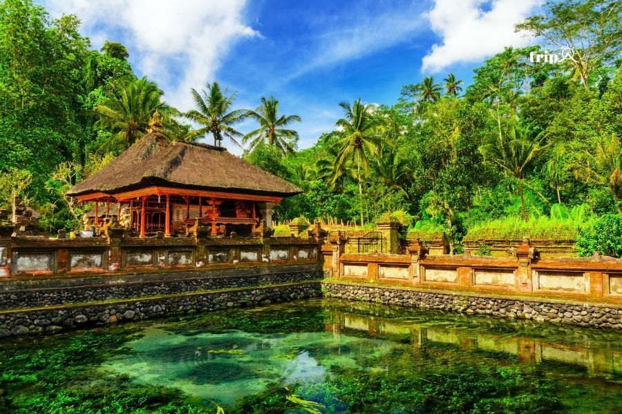 Suối thánh Bali - Tripa