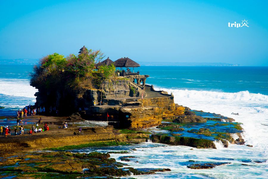 TanahLot- Tripa