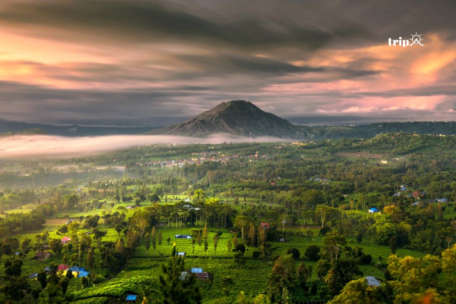 Bali - Tripa
