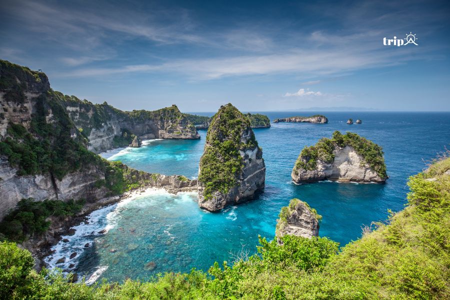 Bali - Tripa