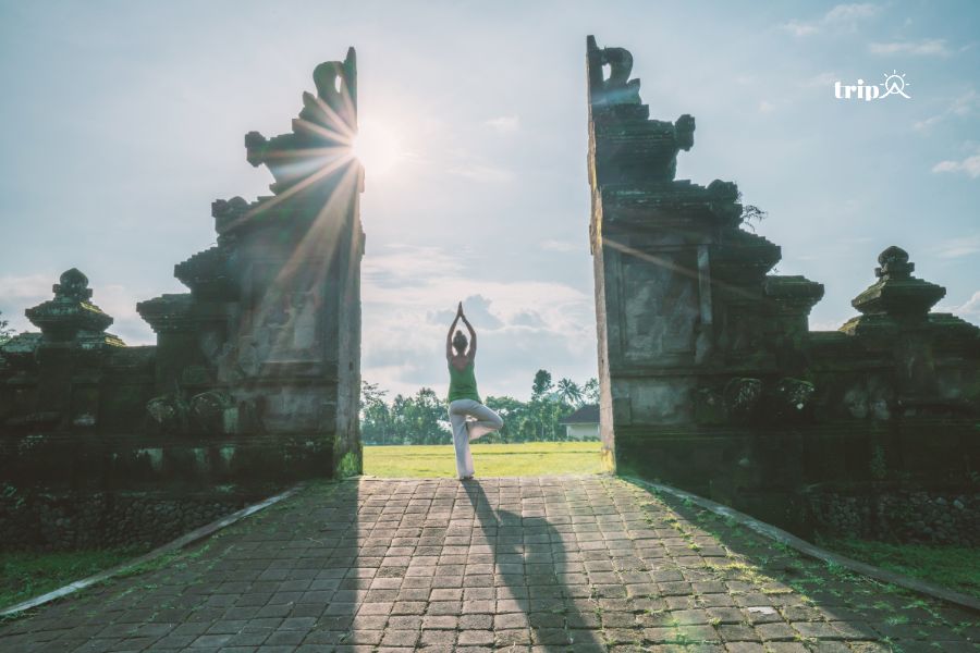 Yoga ở Bali  -Tripa