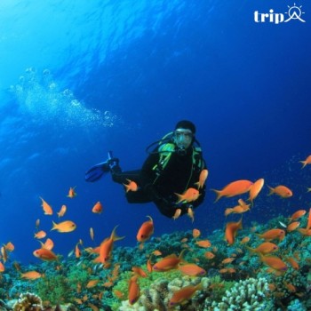 8 ĐIỂM LẶN BIỂN TỐT NHẤT Ở BALI