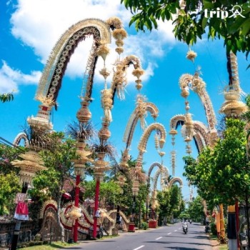CÂY NÊU BALI - CẦU NỐI GIỮA TRỜI VÀ ĐẤT