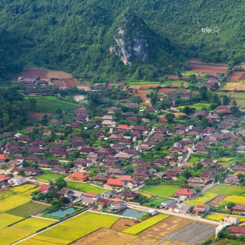 KHÁM PHÁ LÀNG DU LỊCH QUỲNH SƠN - NƠI TẤT CẢ NHÀ DÂN ĐỀU QUAY VỀ MỘT HƯỚNG