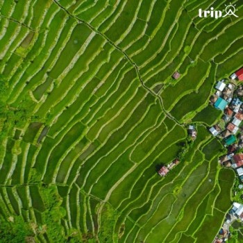 KHÁM PHÁ RUỘNG BẬC THANG BANAUE - KỲ QUAN NHÂN TẠO CỦA PHILIPPINES