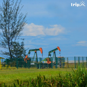 LÀNG SERIA OIL Ở BRUNEI: CÁI NÔI CỦA NGÀNH DẦU KHÍ ĐÔNG NAM Á 