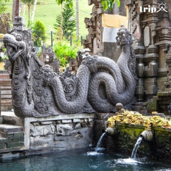 TAMPAK SIRING - SUỐI NƯỚC THÁNH VÀ HUYỀN THOẠI TRẺ MÃI KHÔNG GIÀ