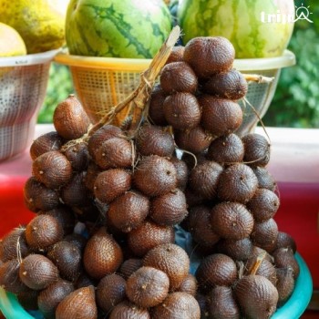 VẺ ĐẸP ĐỘC ĐÁO CỦA SALAK BALI (QUẢ DA RẮN)